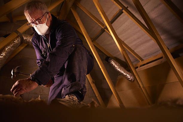 Best Residential Insulation in Oconomowoc, WI